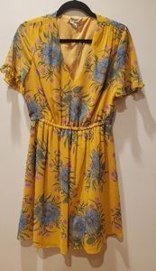 Madewell Sweetgrass Ruffle-sleeve Dress